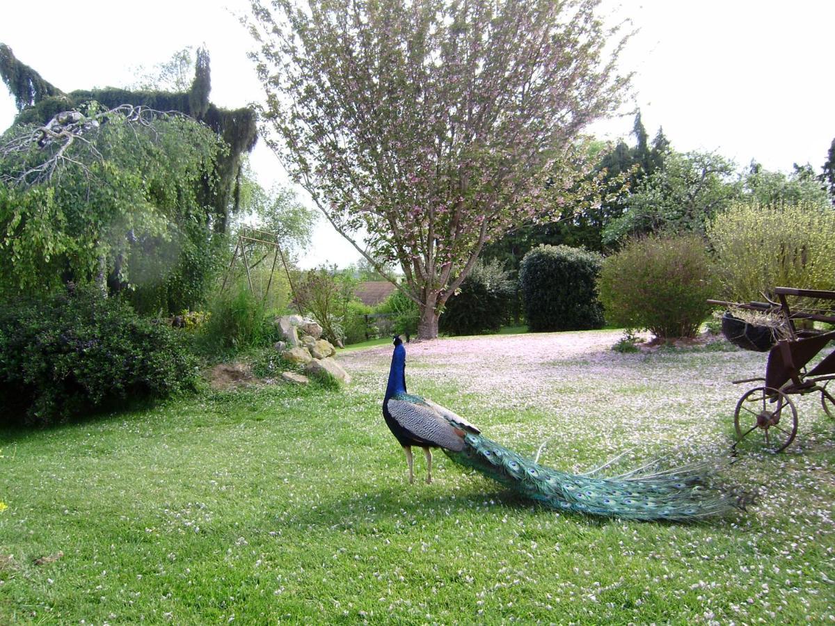 Bed and Breakfast La Ferme Du Bourg Eraines Экстерьер фото